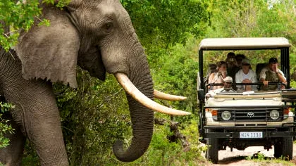 justwebsitedesigning.com Glimpses