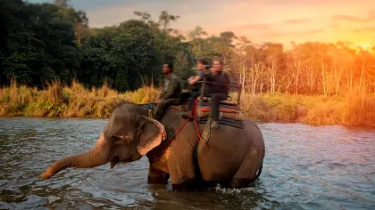 justwebsitedesigning.com Glimpses