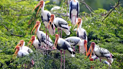 justwebsitedesigning.com Glimpses