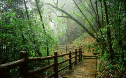 justwebsitedesigning.com Glimpses