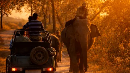 justwebsitedesigning.com Glimpses