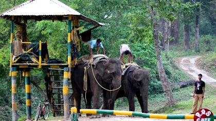 justwebsitedesigning.com Glimpses